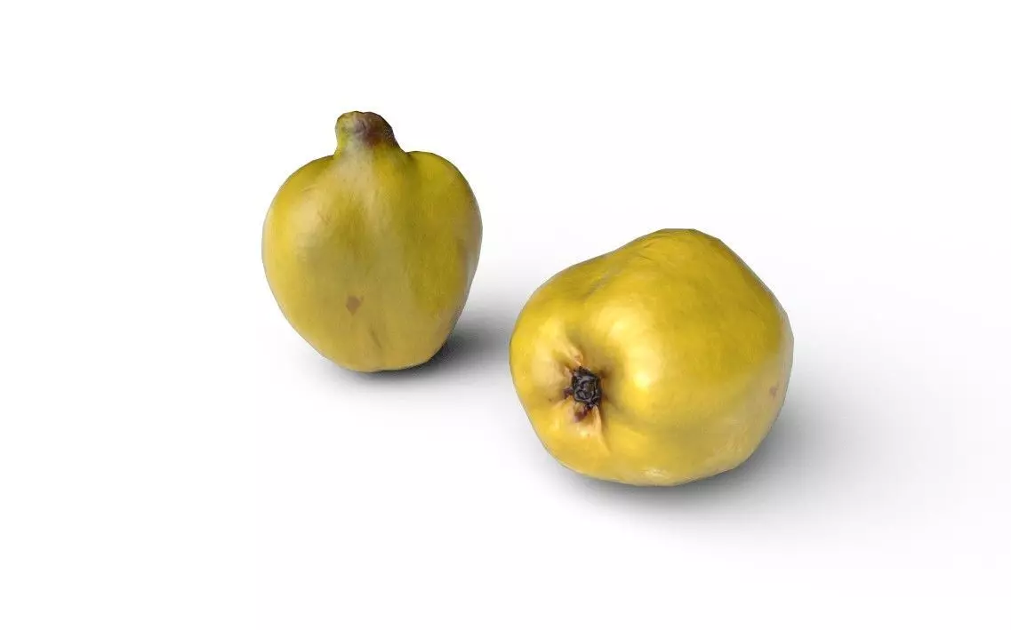 Quince M05 Low-poly 3D model_3