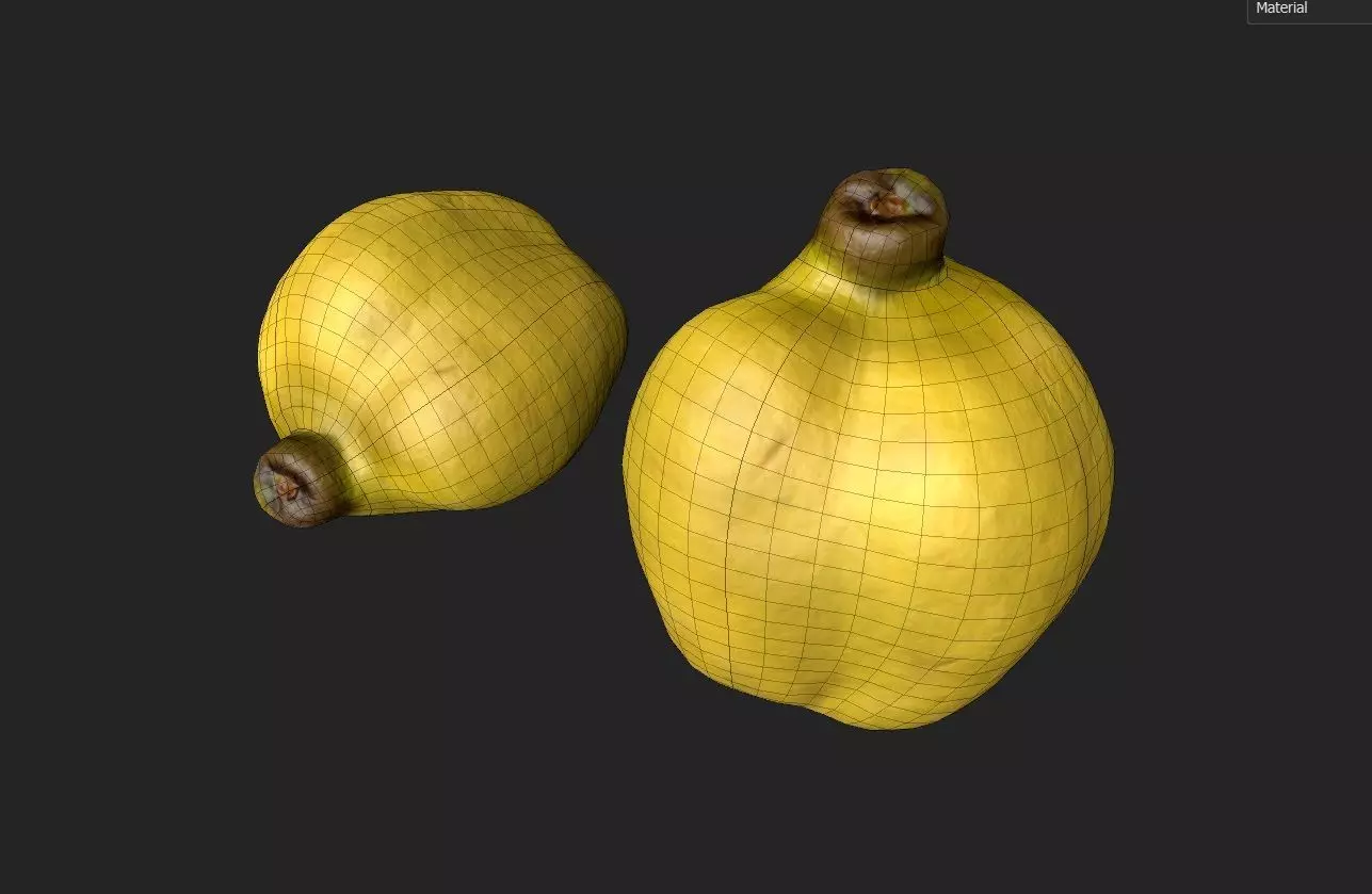 Quince M05 Low-poly 3D model_6