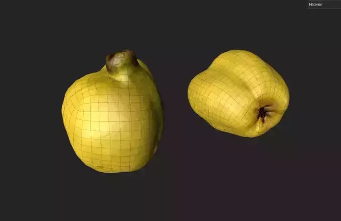 Quince M05 Low-poly 3D model 2