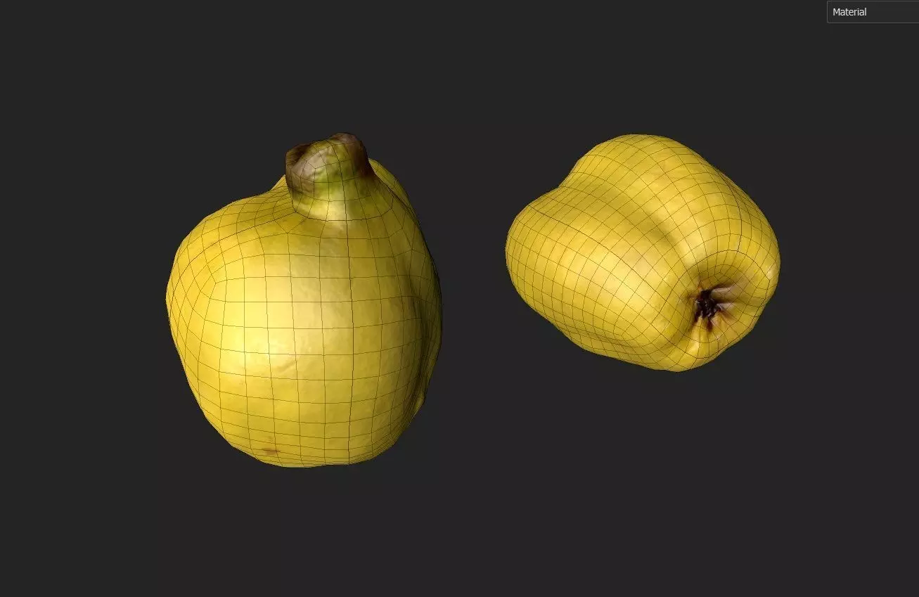 Quince M05 Low-poly 3D model_1