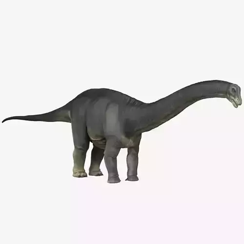 Apatosaurus dinosaur Low-poly 3D model