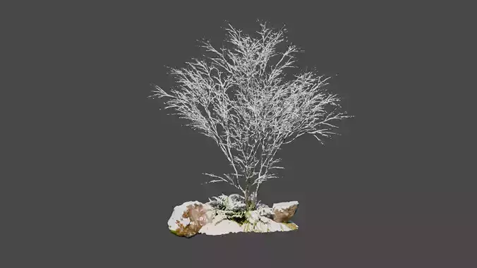 Winter Snowfall Plant Model 3D model