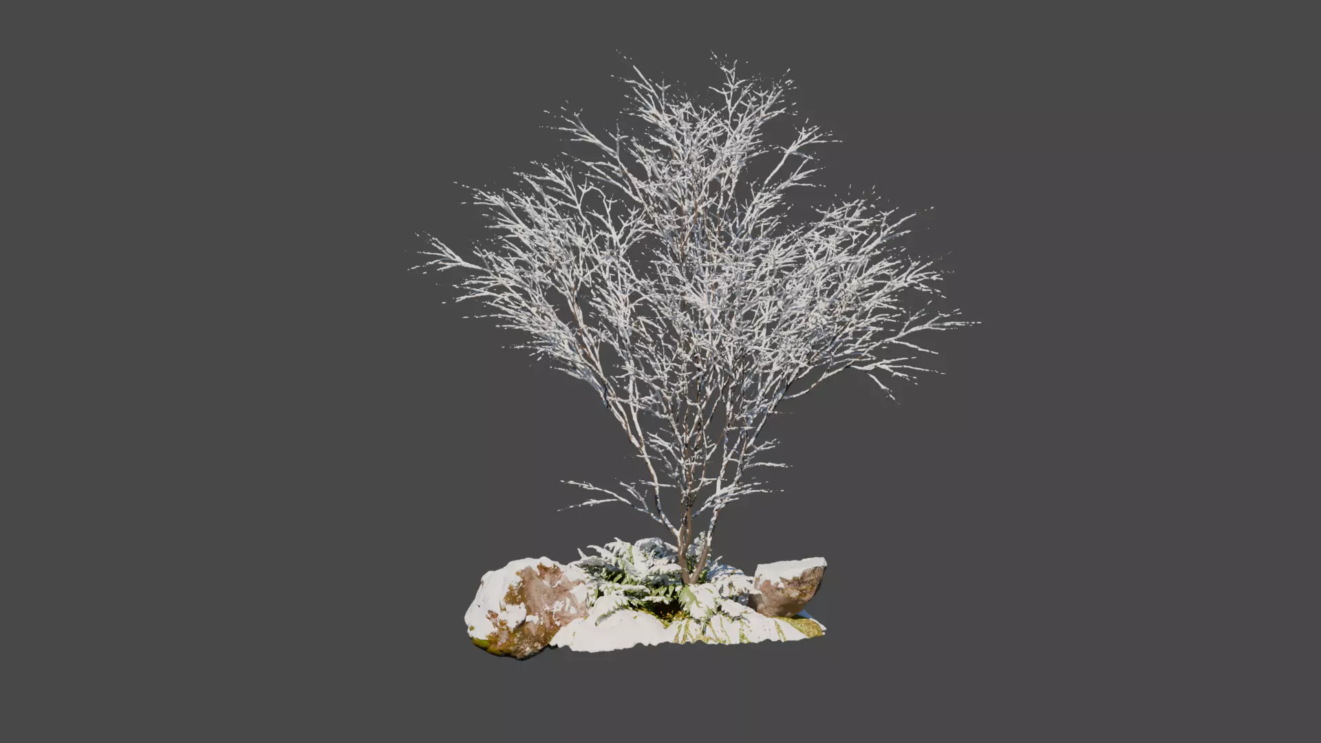 Winter Snowfall Plant Model 3D model_0