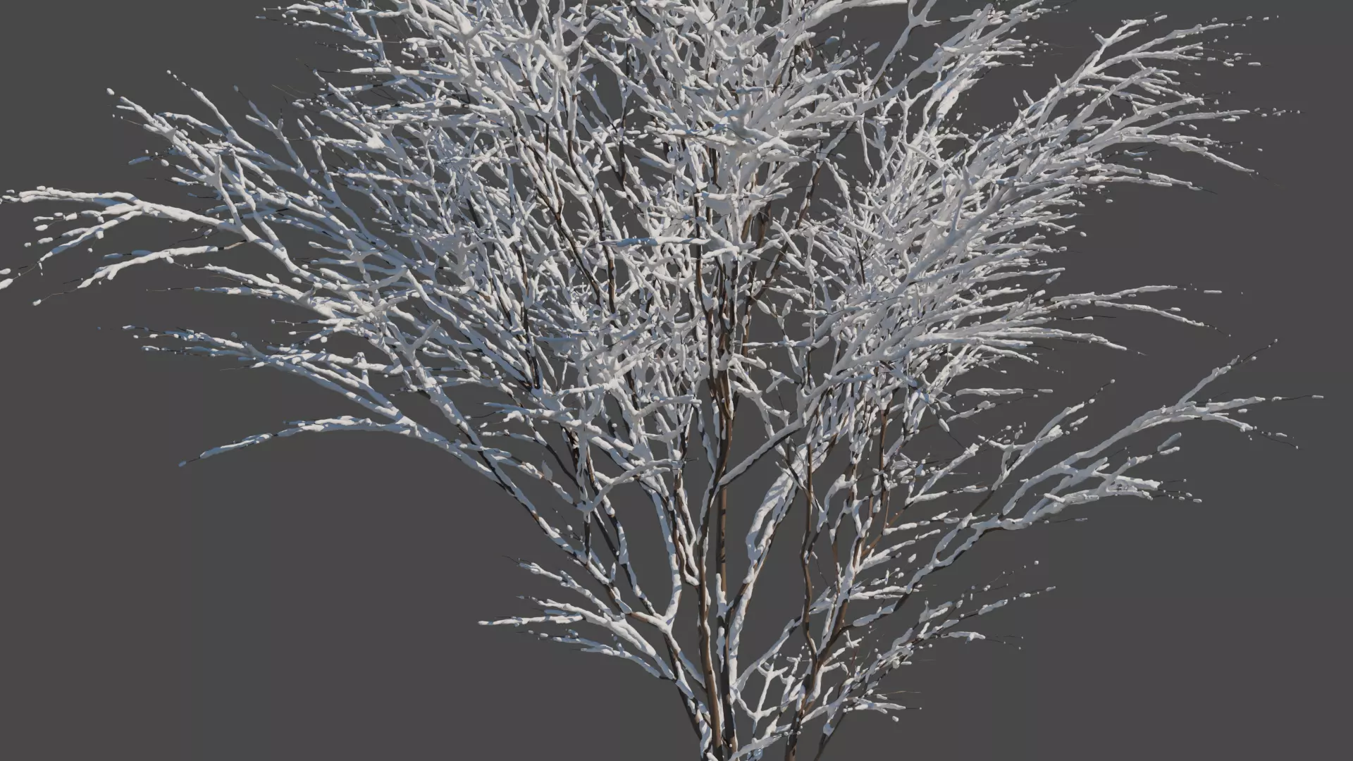 Winter Snowfall Plant Model 3D model_3