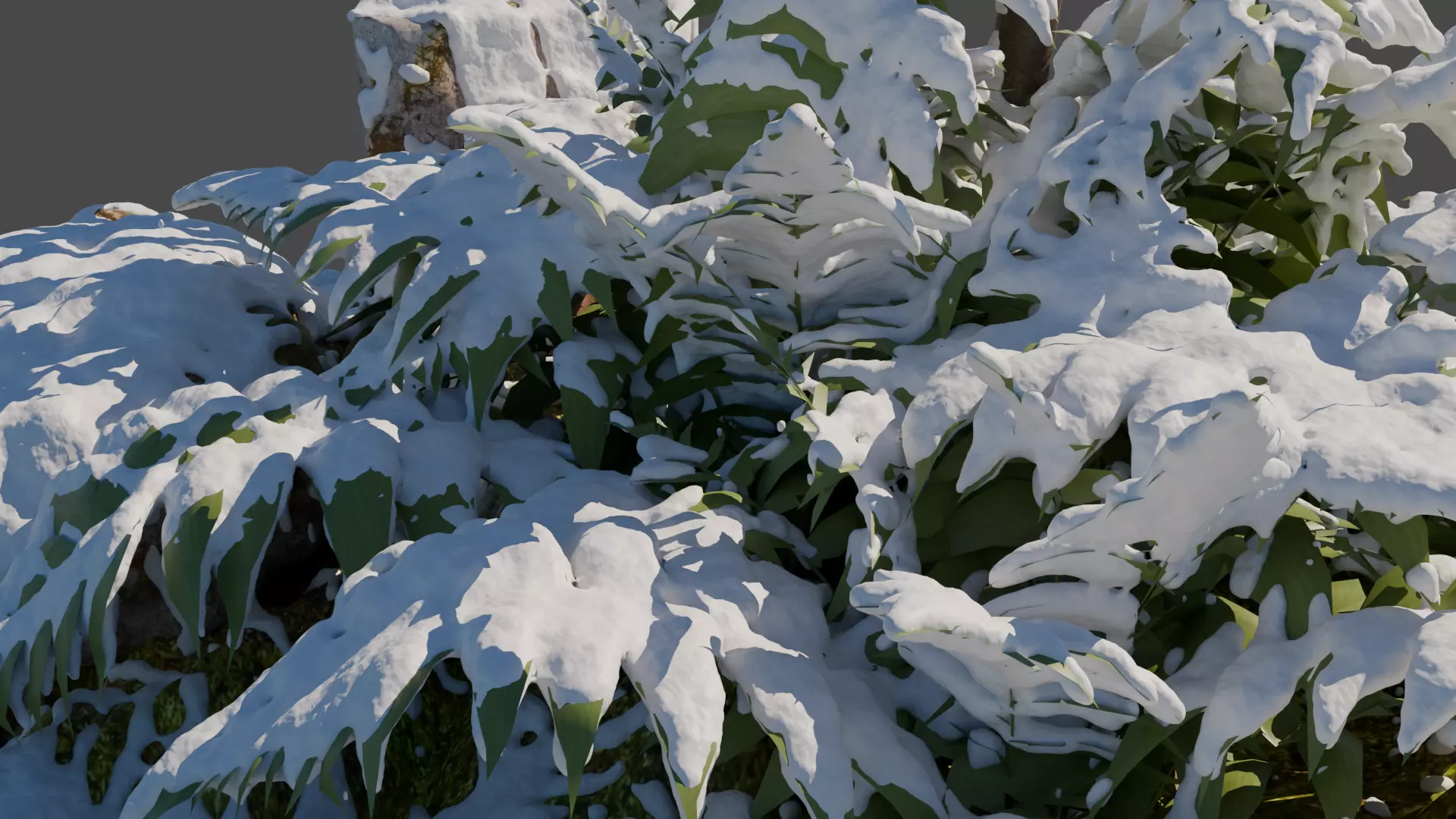Winter Snowfall Plant Model 3D model_5