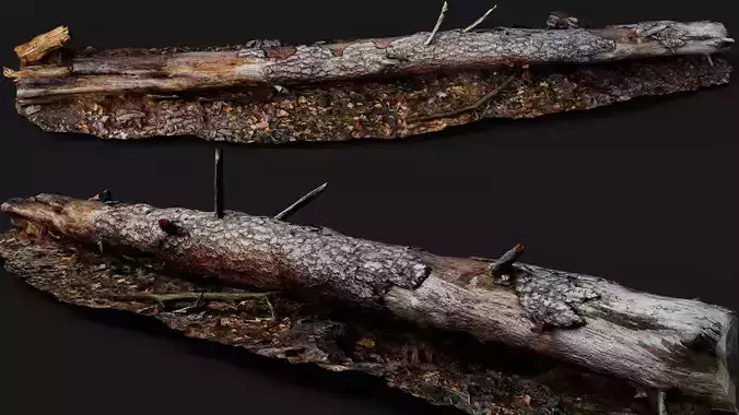 pine tree broken wood log PBR photogrammetry 3D model