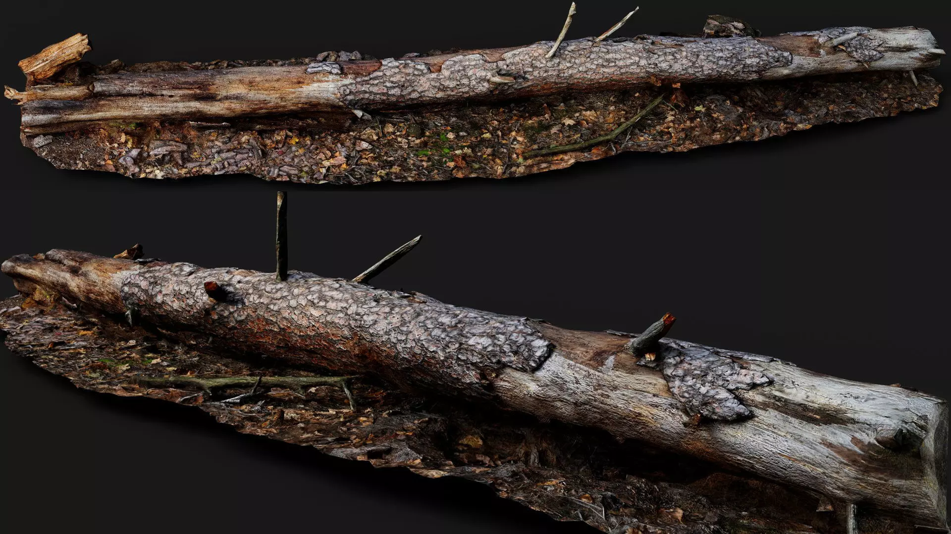 pine tree broken wood log PBR photogrammetry 3D model