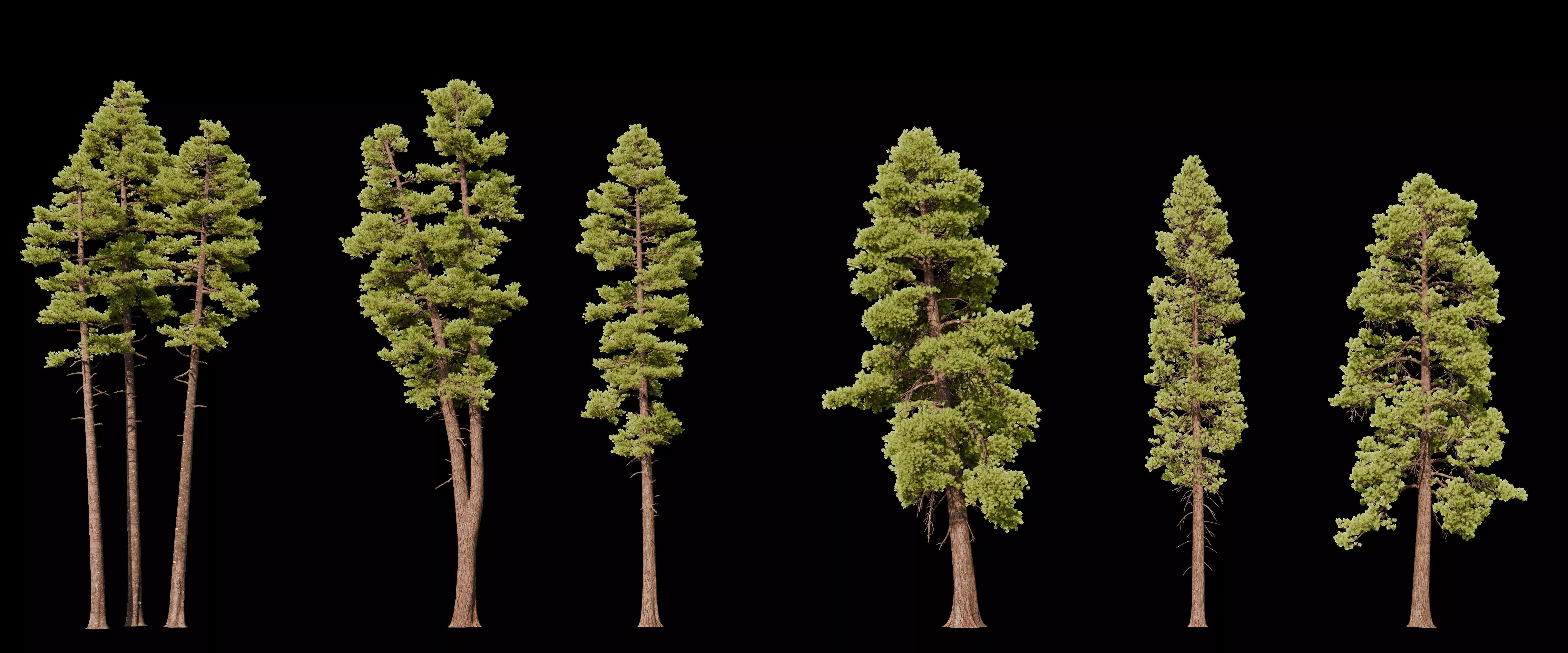 Pine Tree pack Low-poly 3D model_0
