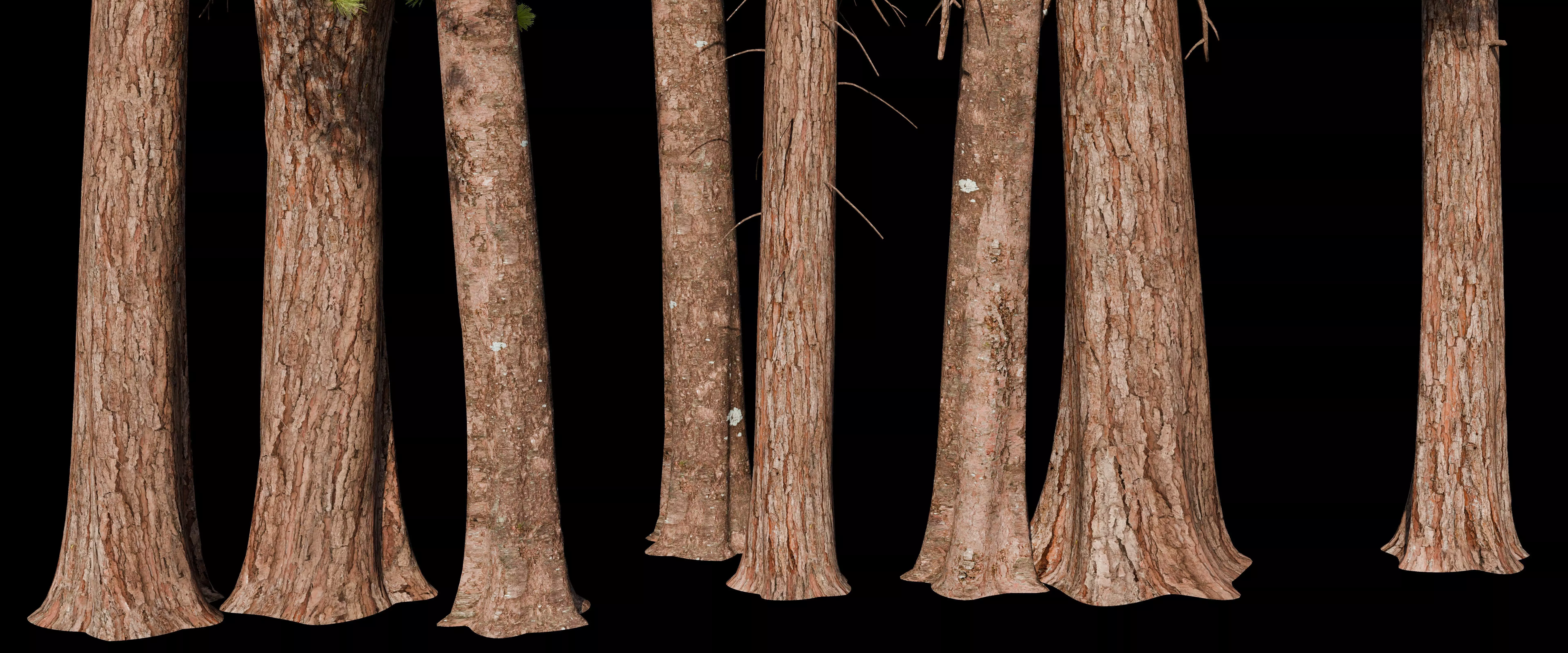 Pine Tree pack Low-poly 3D model_2