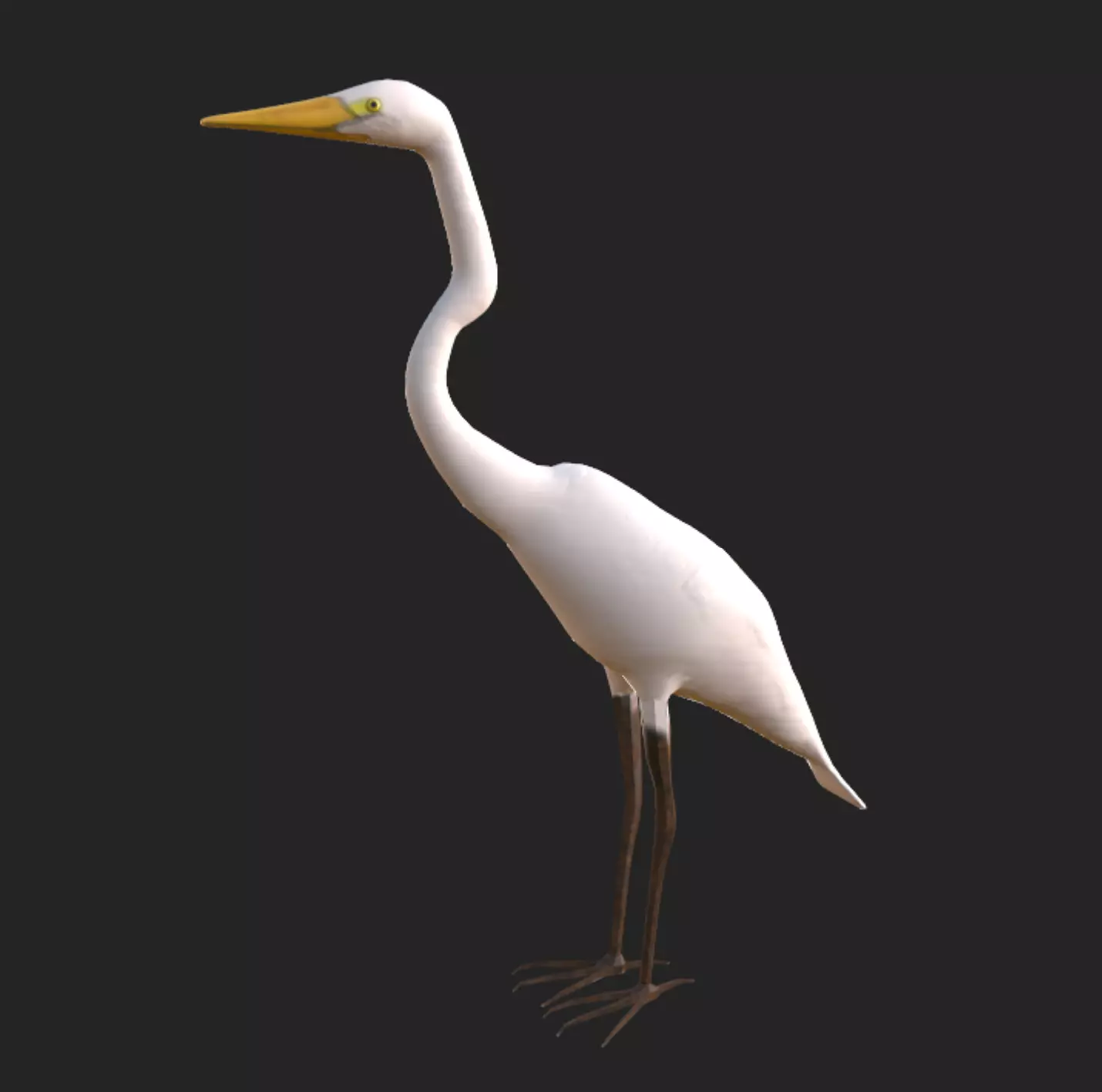 White Egret  Low-poly 3D model_0