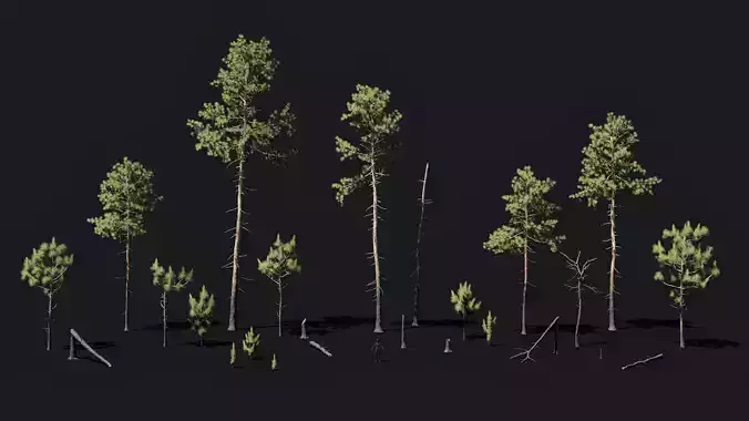 Longleaf Pine game ready forest pack