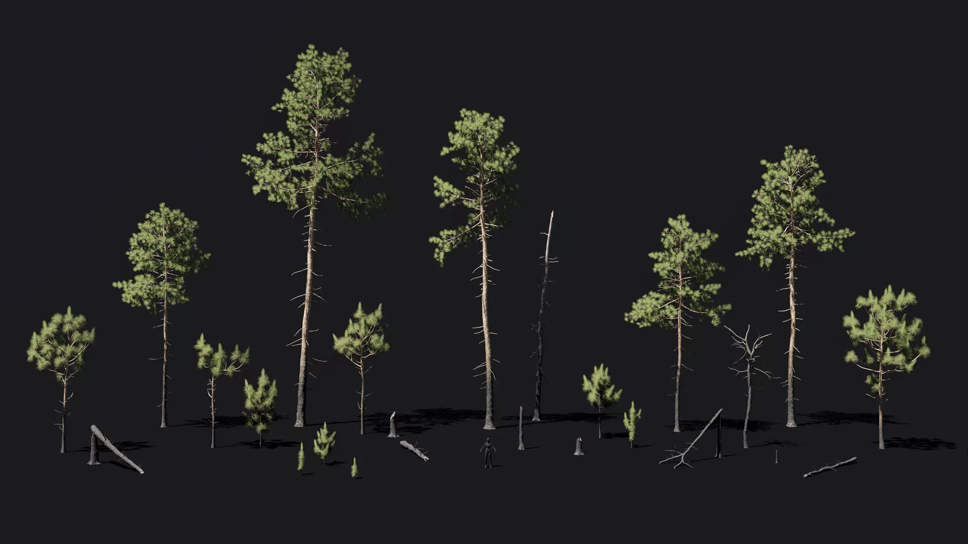 Longleaf Pine game ready forest pack Low-poly 3D model_0