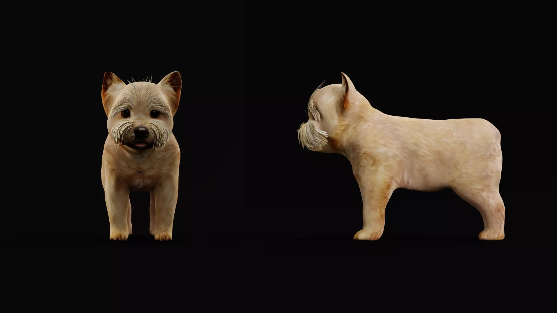 Yorkshire Terrier Puppy Dog Low-poly 3D model_29