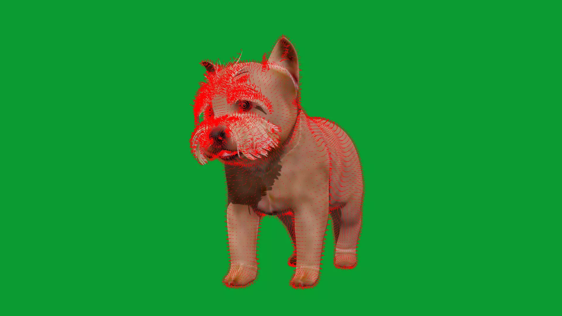 Yorkshire Terrier Puppy Dog Low-poly 3D model_39