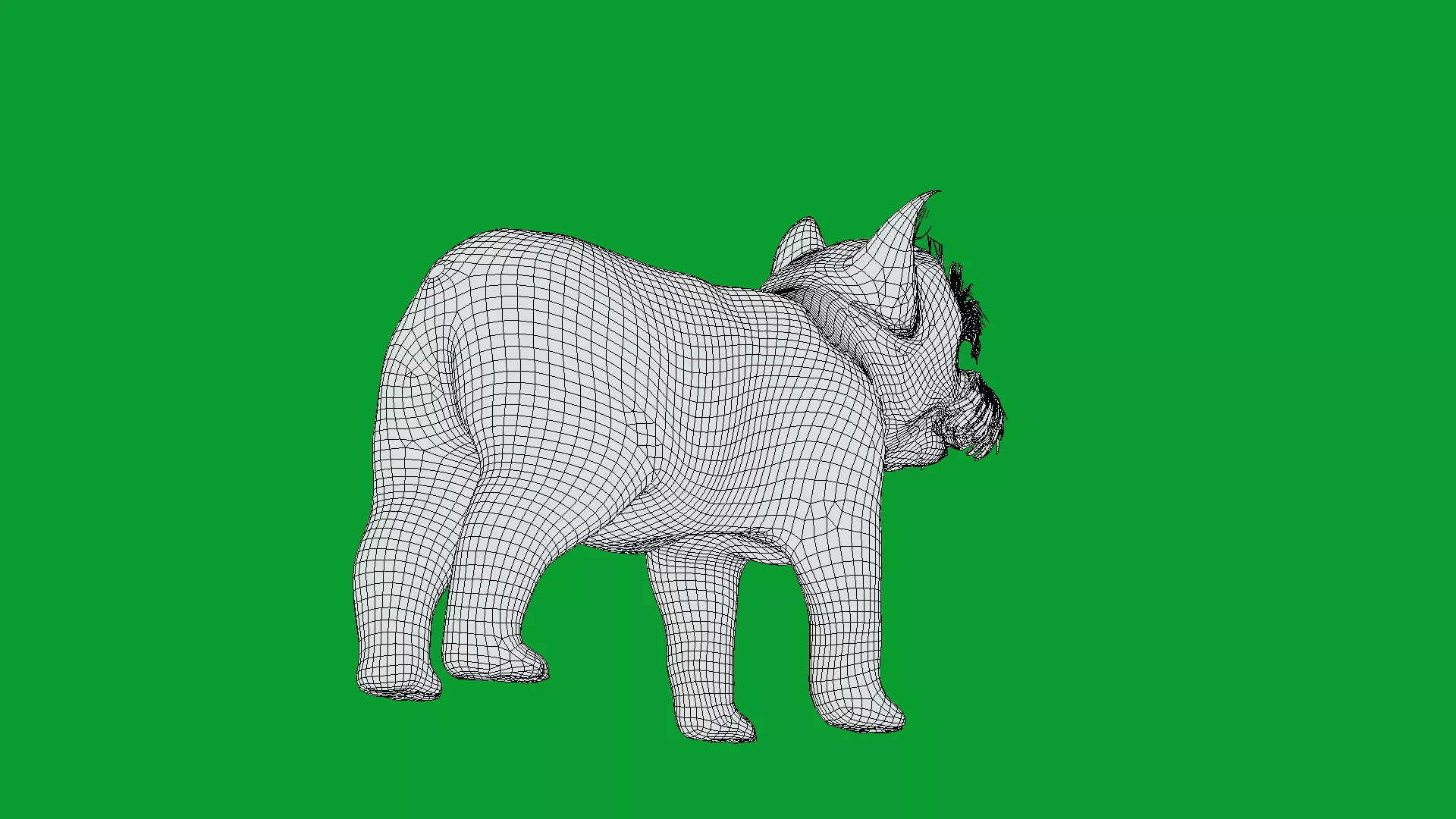 Yorkshire Terrier Puppy Dog Low-poly 3D model_14