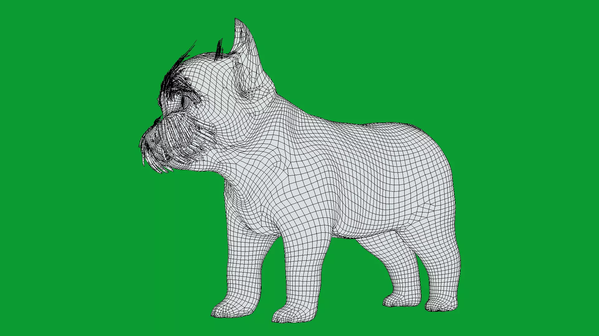 Yorkshire Terrier Puppy Dog Low-poly 3D model_25