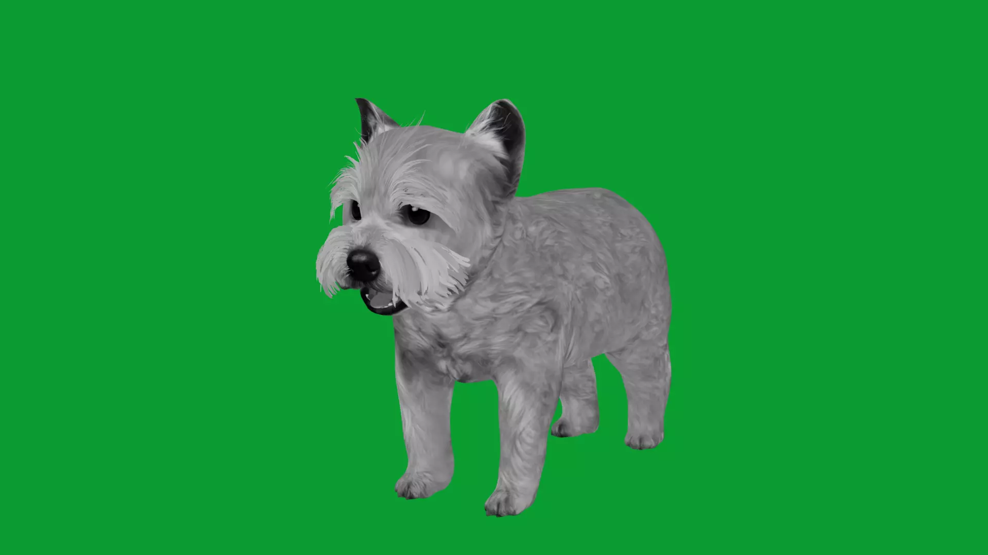 Yorkshire Terrier Puppy Dog Low-poly 3D model_34