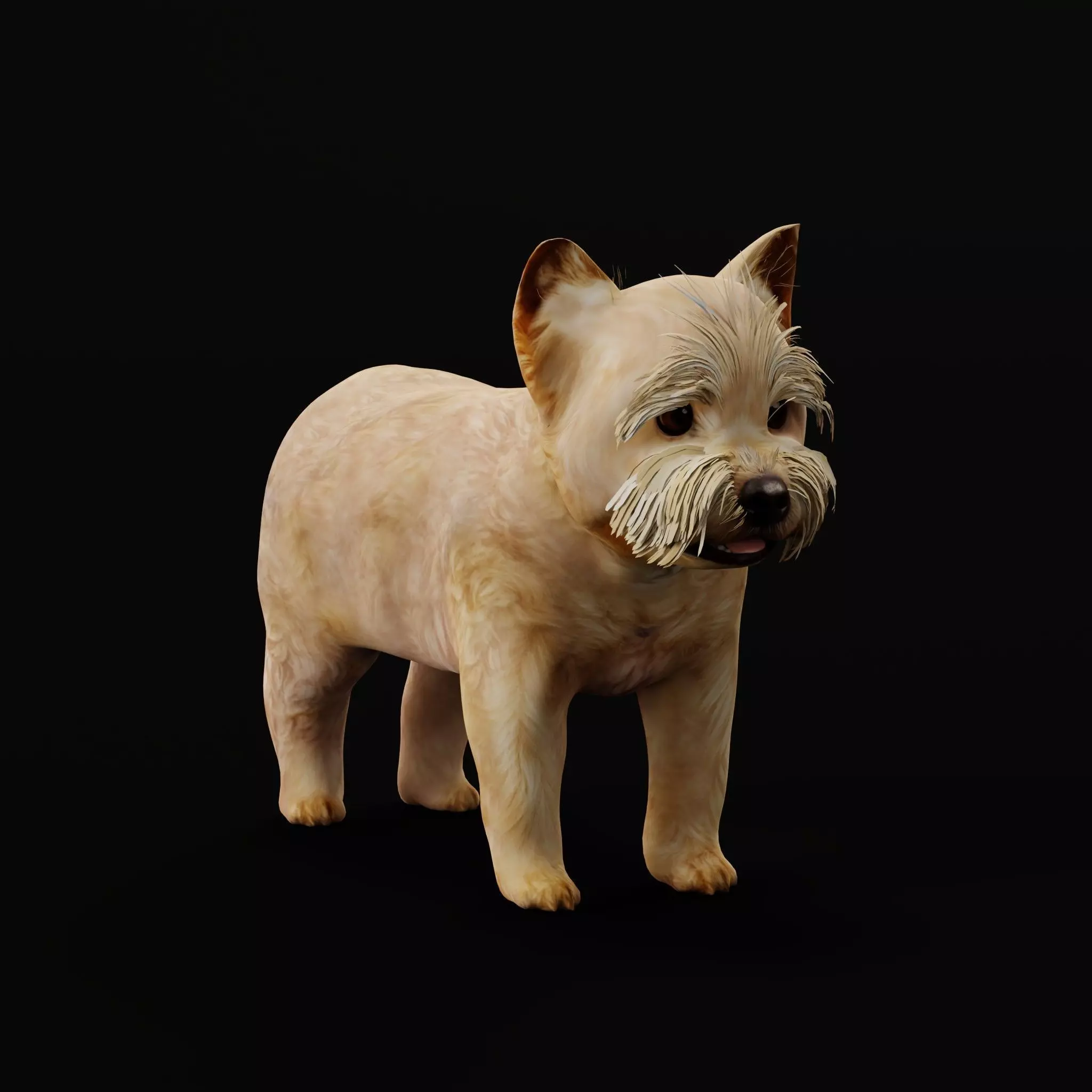 Yorkshire Terrier Puppy Dog Low-poly 3D model_7
