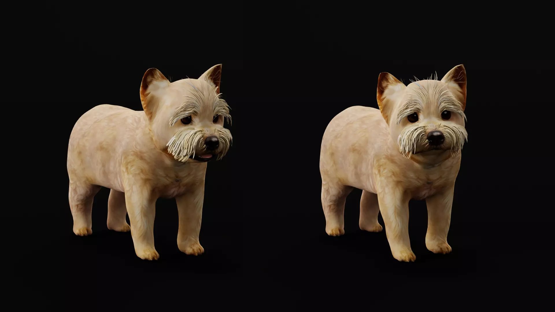 Yorkshire Terrier Puppy Dog Low-poly 3D model_26