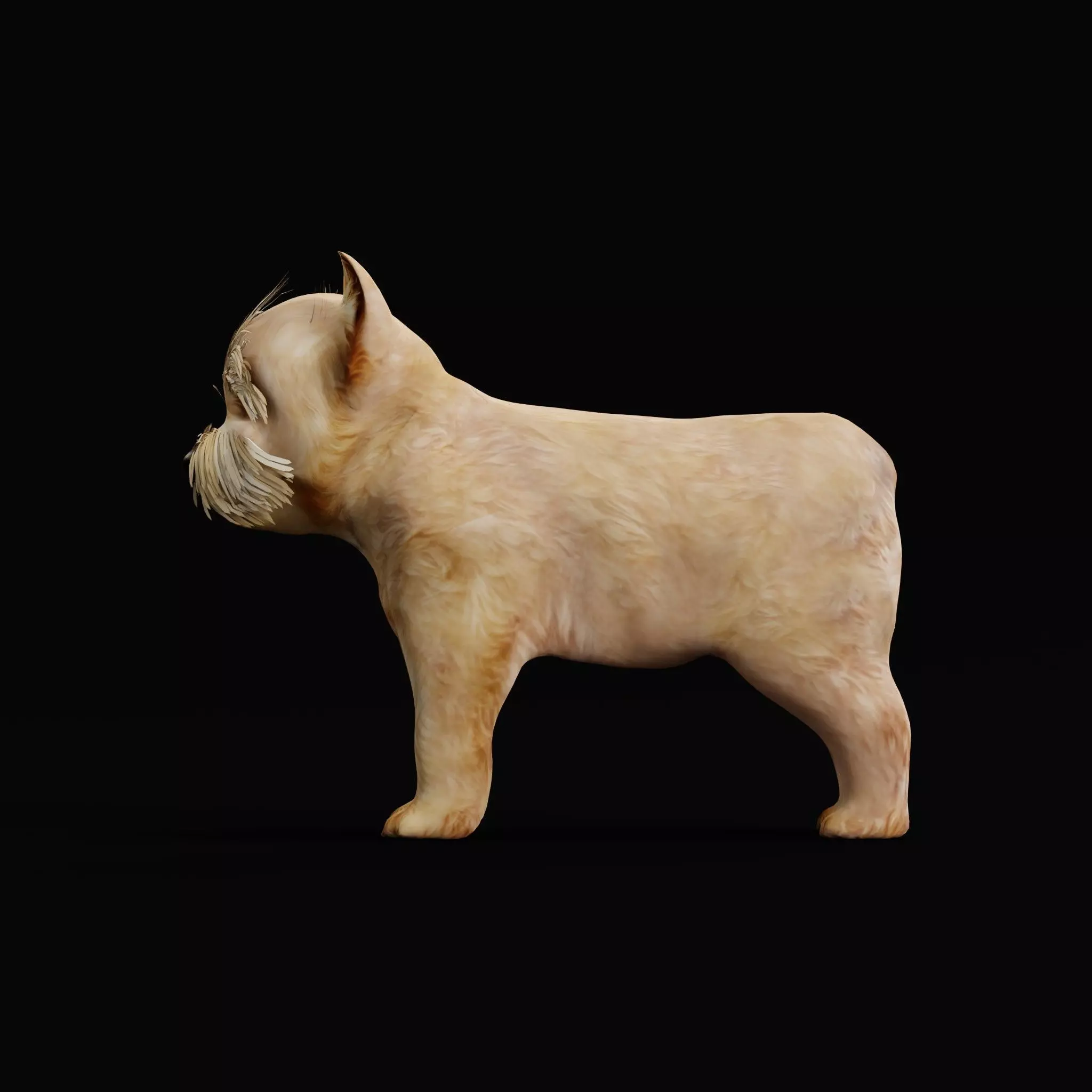 Yorkshire Terrier Puppy Dog Low-poly 3D model_9