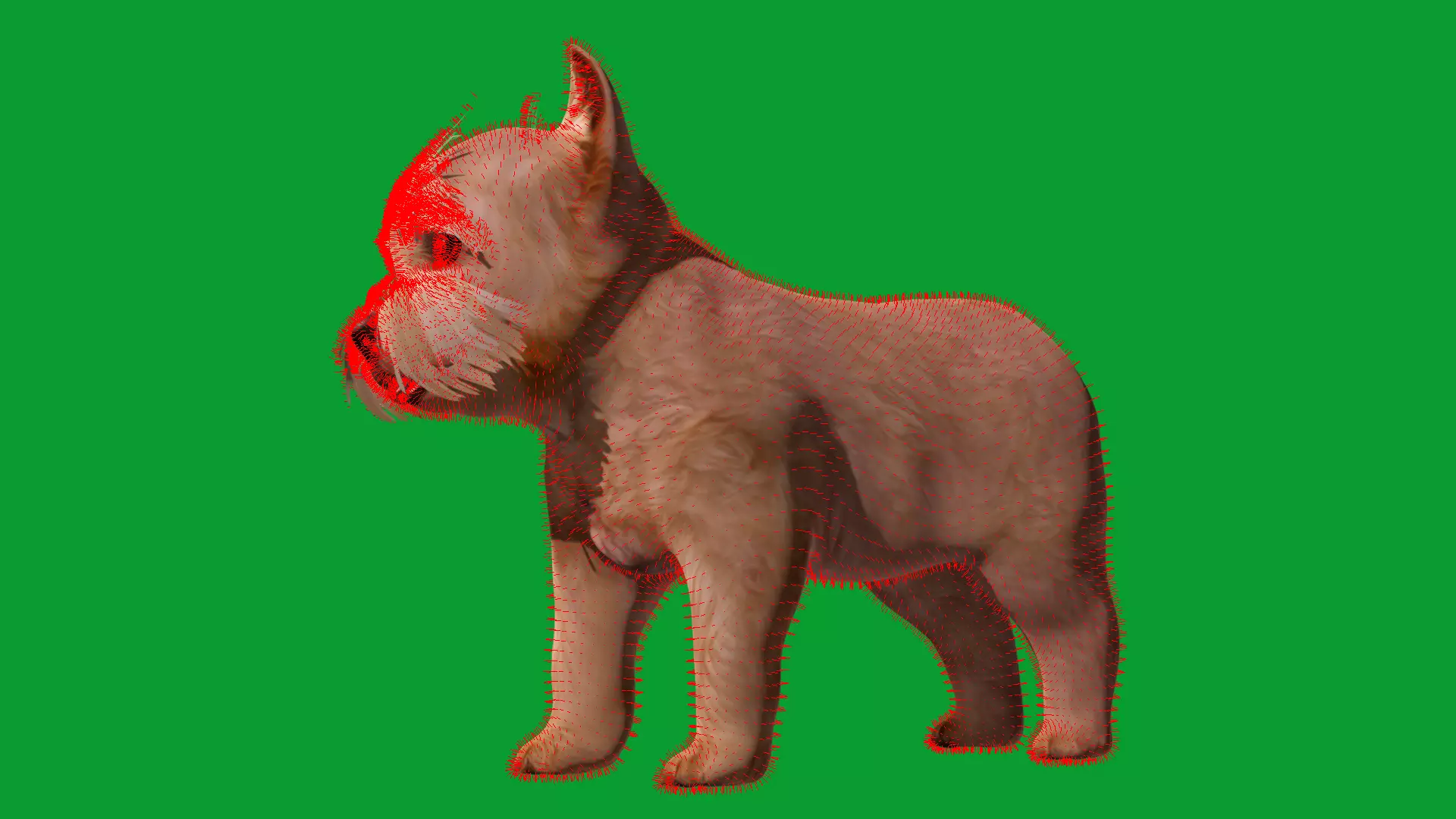 Yorkshire Terrier Puppy Dog Low-poly 3D model_23