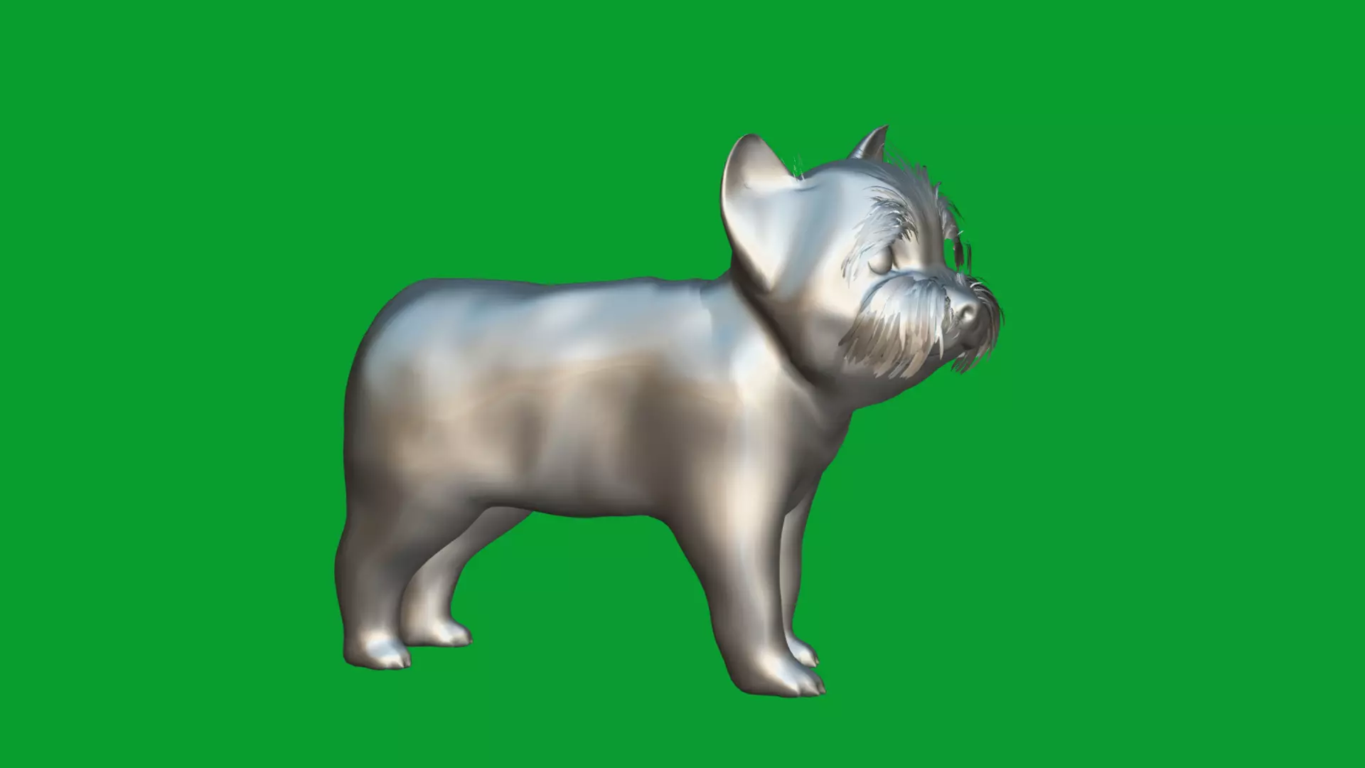 Yorkshire Terrier Puppy Dog Low-poly 3D model_35
