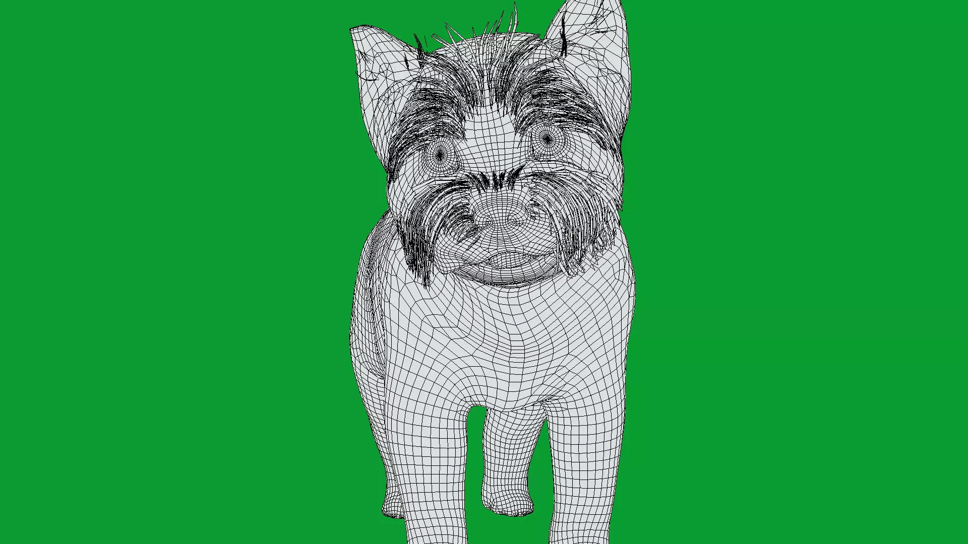 Yorkshire Terrier Puppy Dog Low-poly 3D model_17