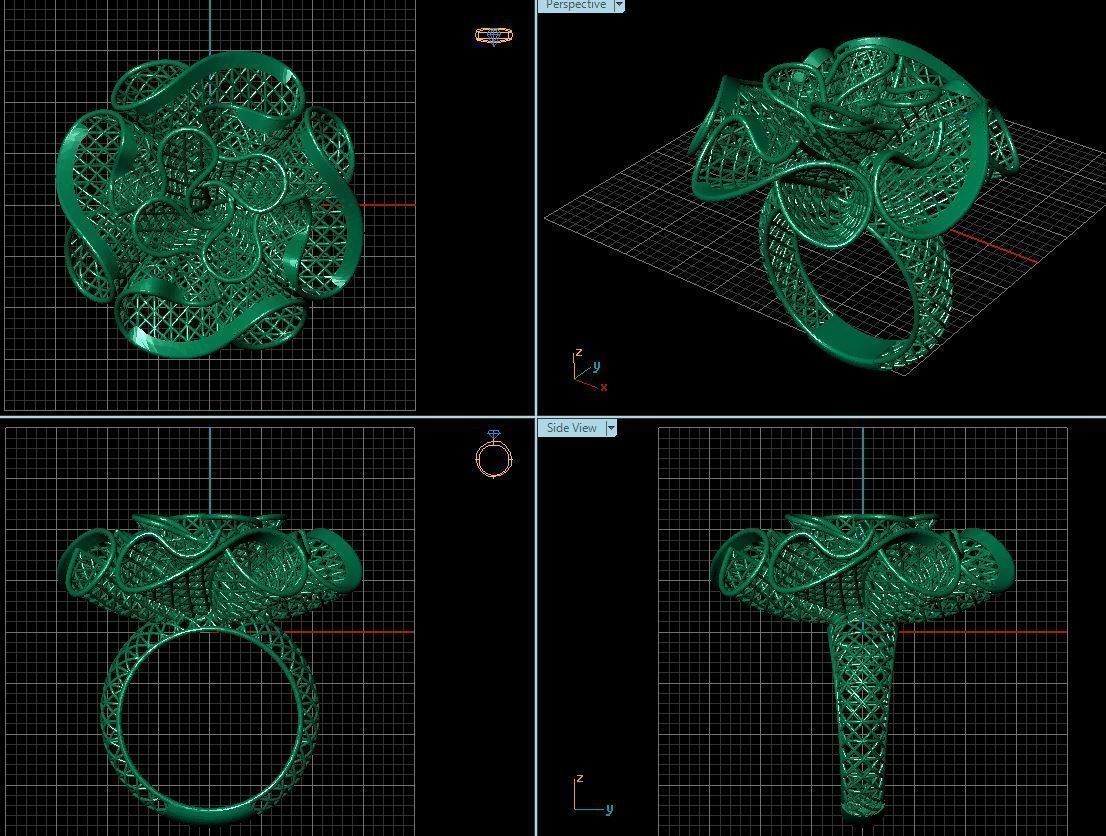 Ring ultra vision 21v 3D print model_2