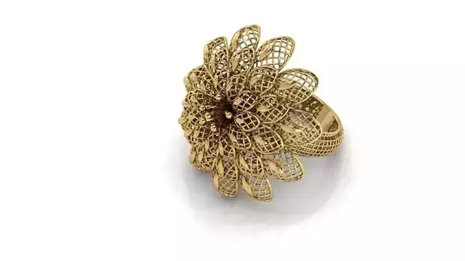 Ring ultra vision 23v