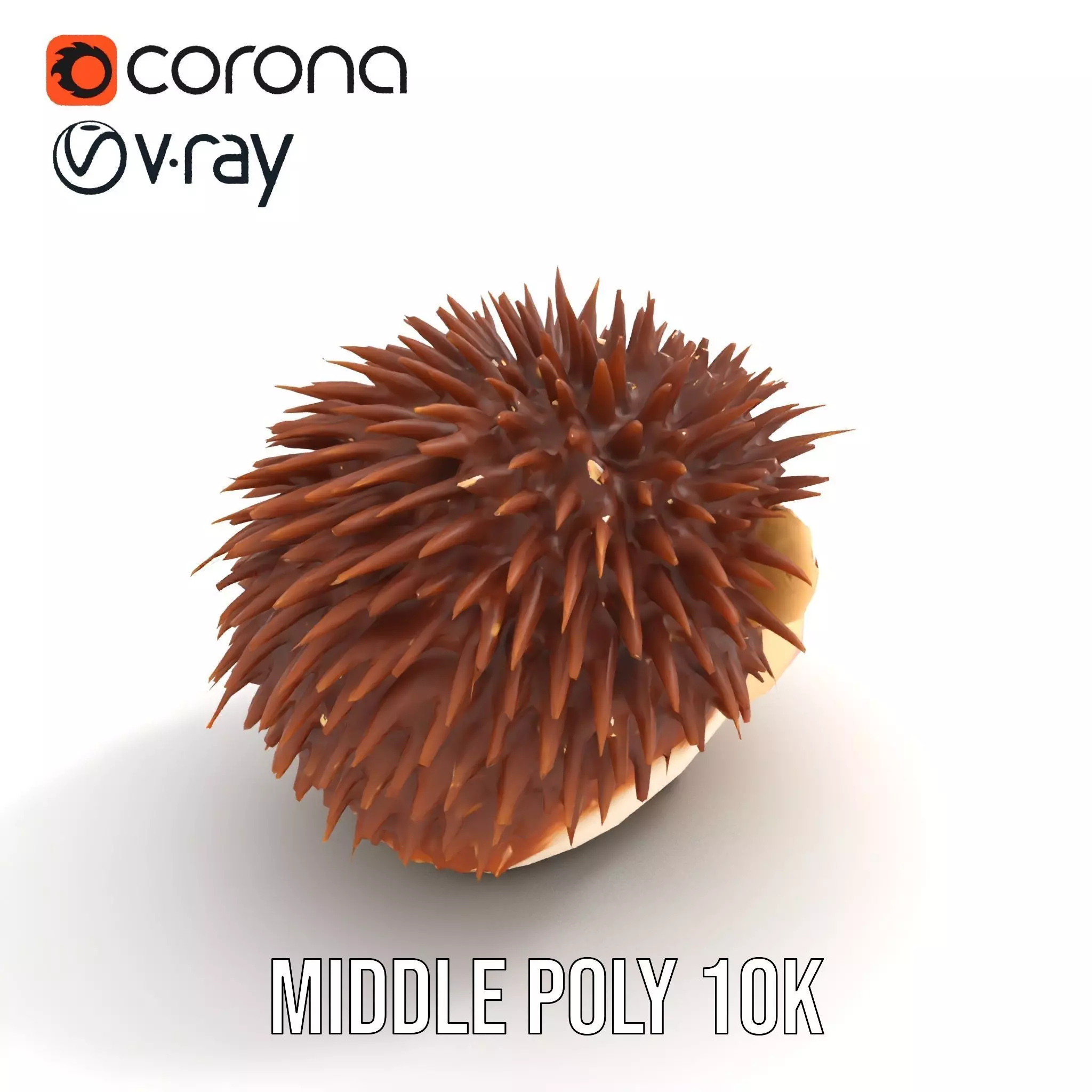 Cute Hedgehog Character model pack Low-poly 3D model_6