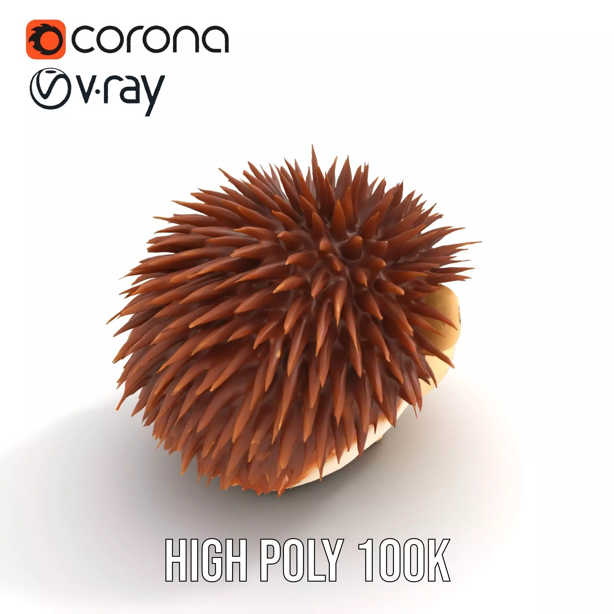 Cute Hedgehog Character model pack Low-poly 3D model_30