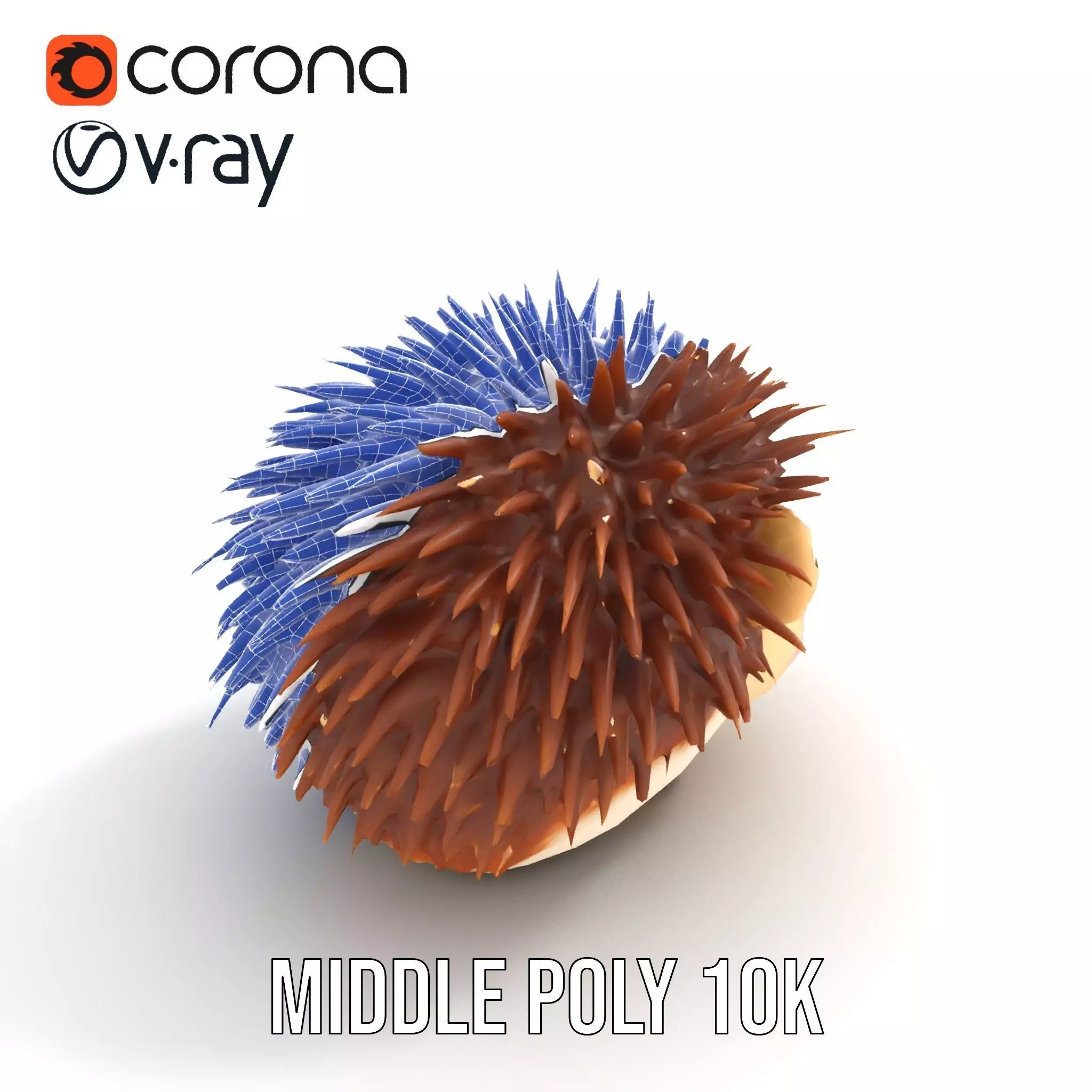 Cute Hedgehog Character model pack Low-poly 3D model_25