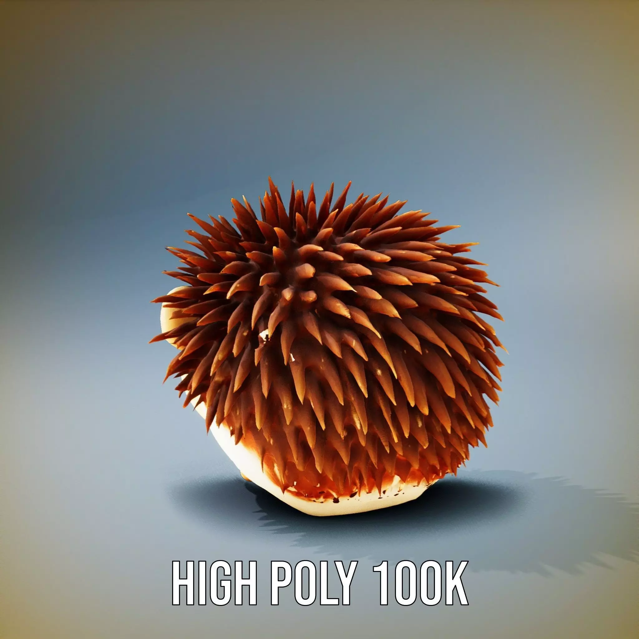 Cute Hedgehog Character model pack Low-poly 3D model_8