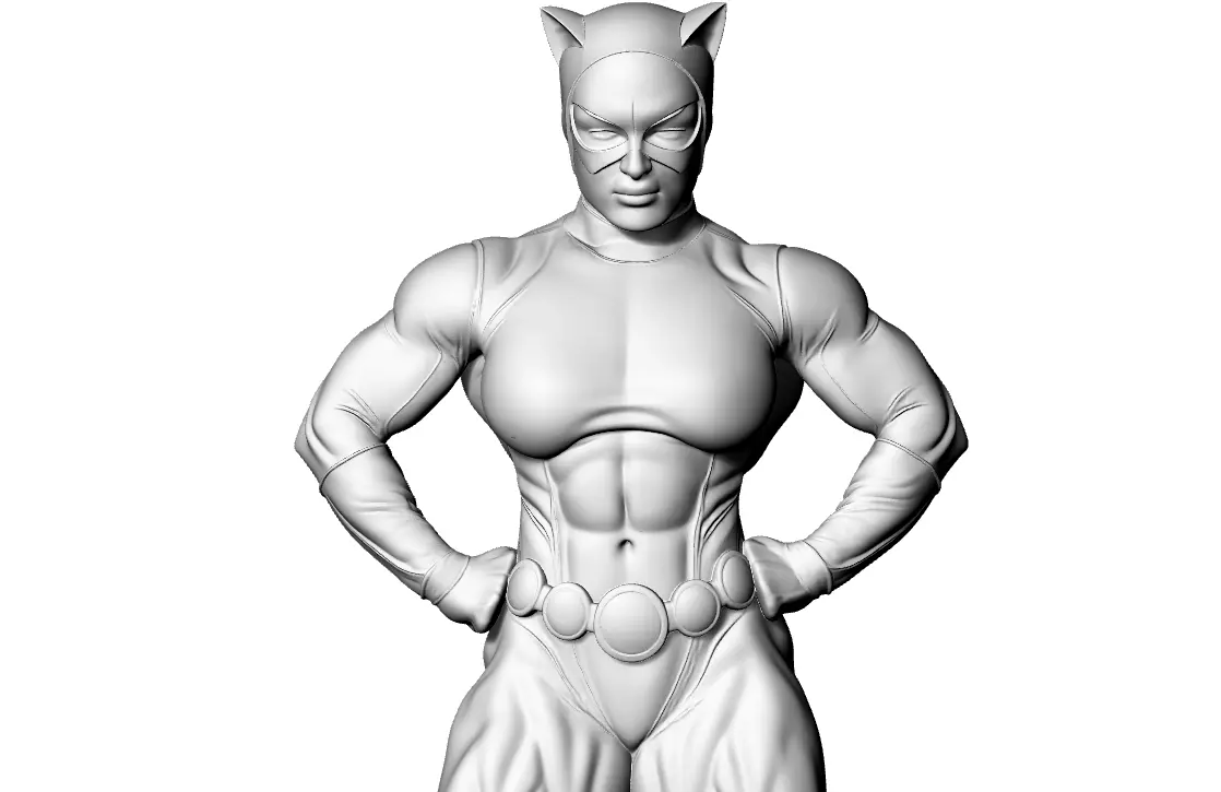 Cat Lady 3D print model_0