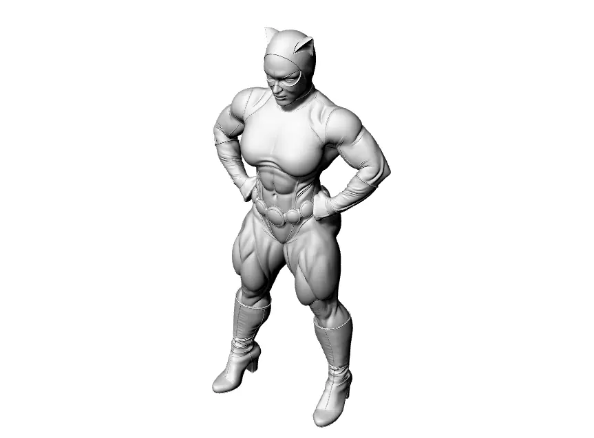 Cat Lady 3D print model_3