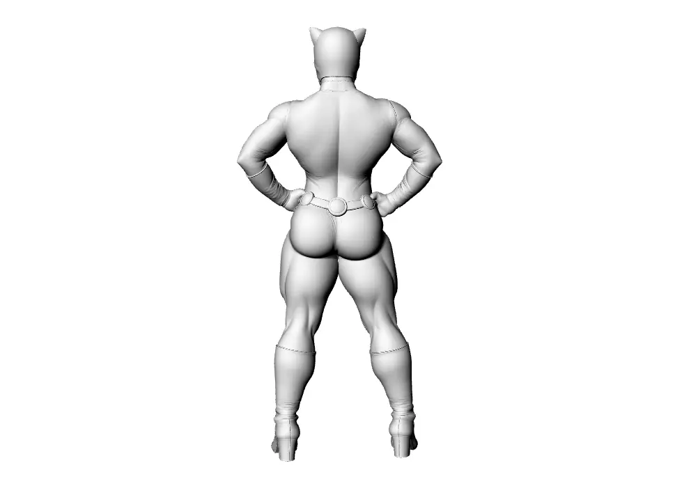 Cat Lady 3D print model_5