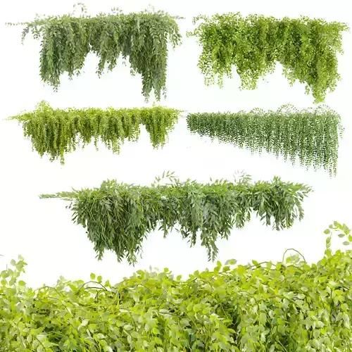 Hanging Wall Plants Collection Vol 342
