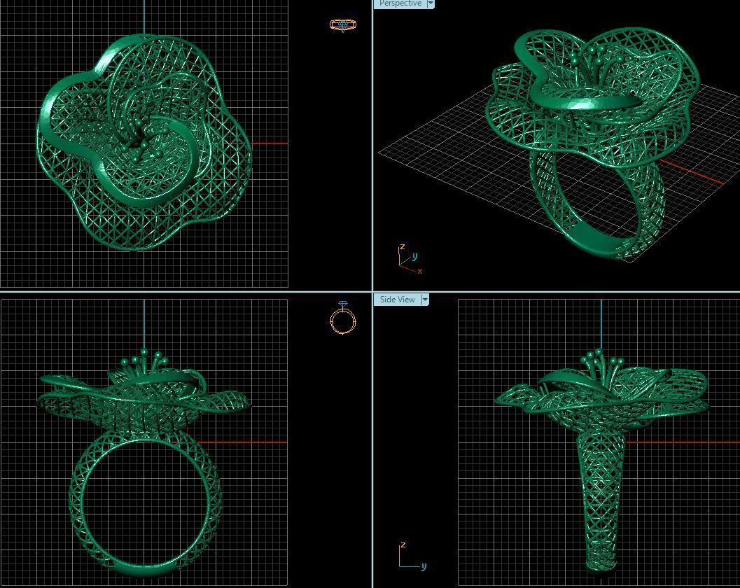 Ring ultra vision 25V 3D print model_1