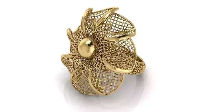 Ring ultra vision  26v