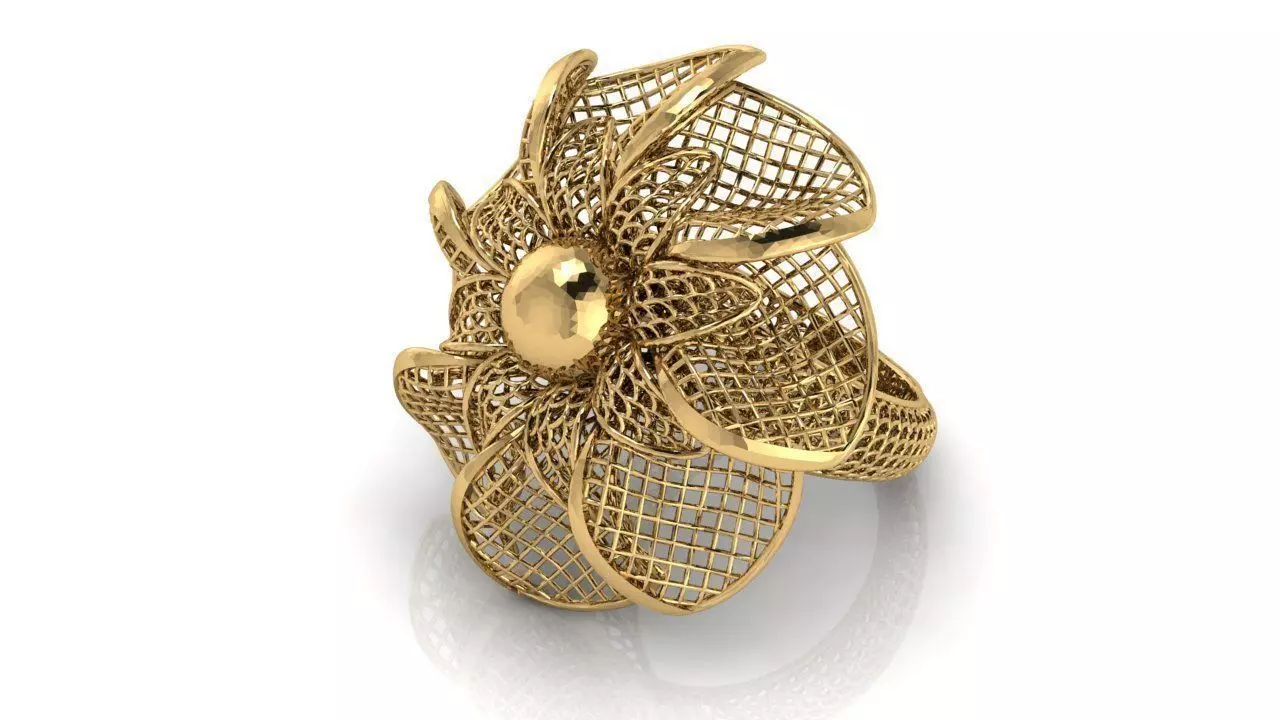 Ring ultra vision  26v 3D print model_0