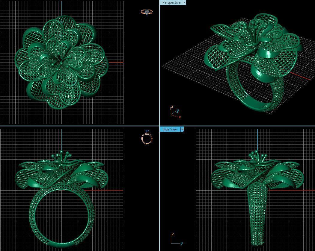 Ring ultra vision  27v 3D print model_1