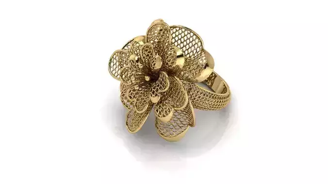 Ring ultra vision  27v