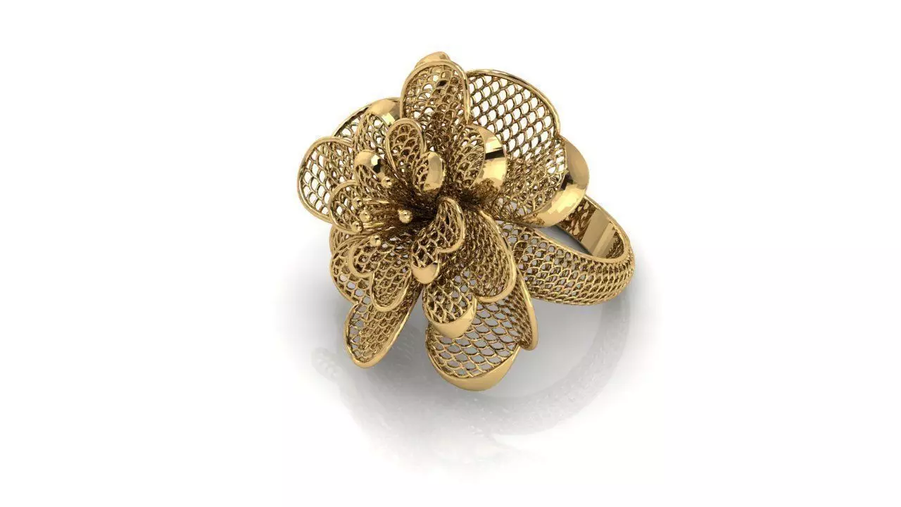 Ring ultra vision  27v 3D print model_0