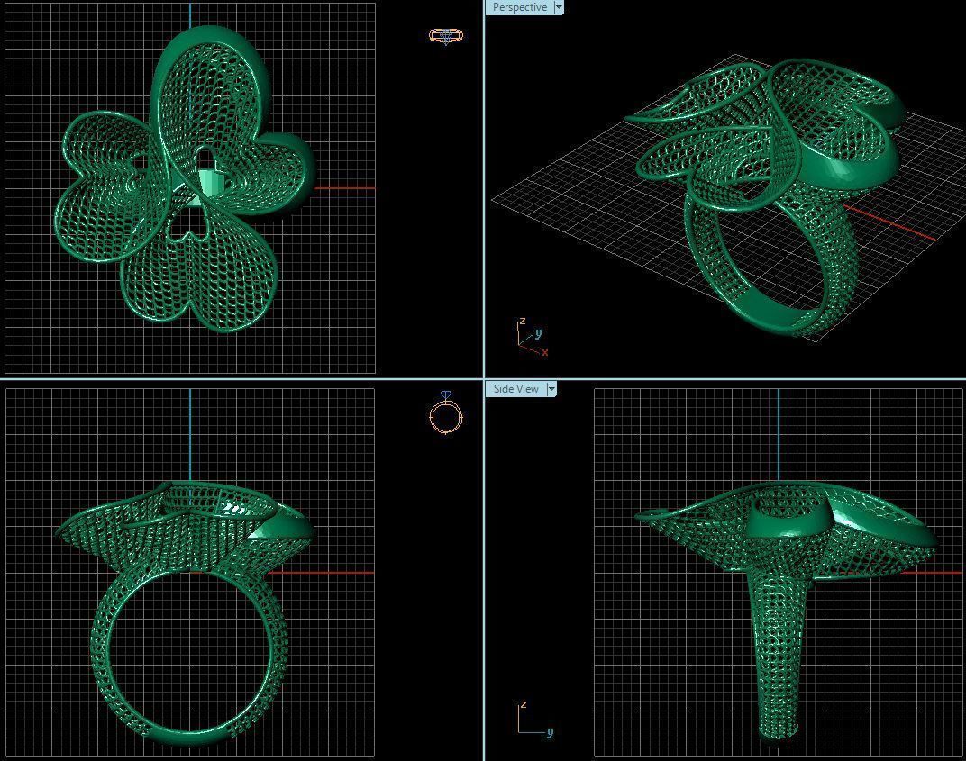 Ring ultra vision 29v 3D print model_1