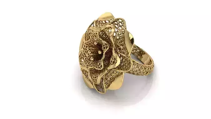 Ring ultra vision 30v