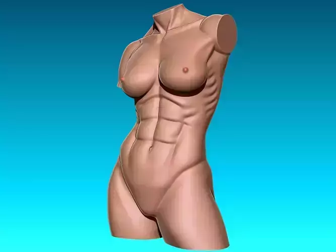 Female Torso Bust Stylized