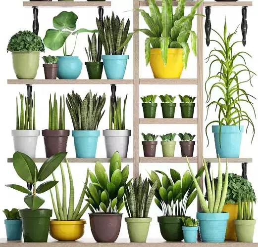 set top new a collection of plants in pots 3D model