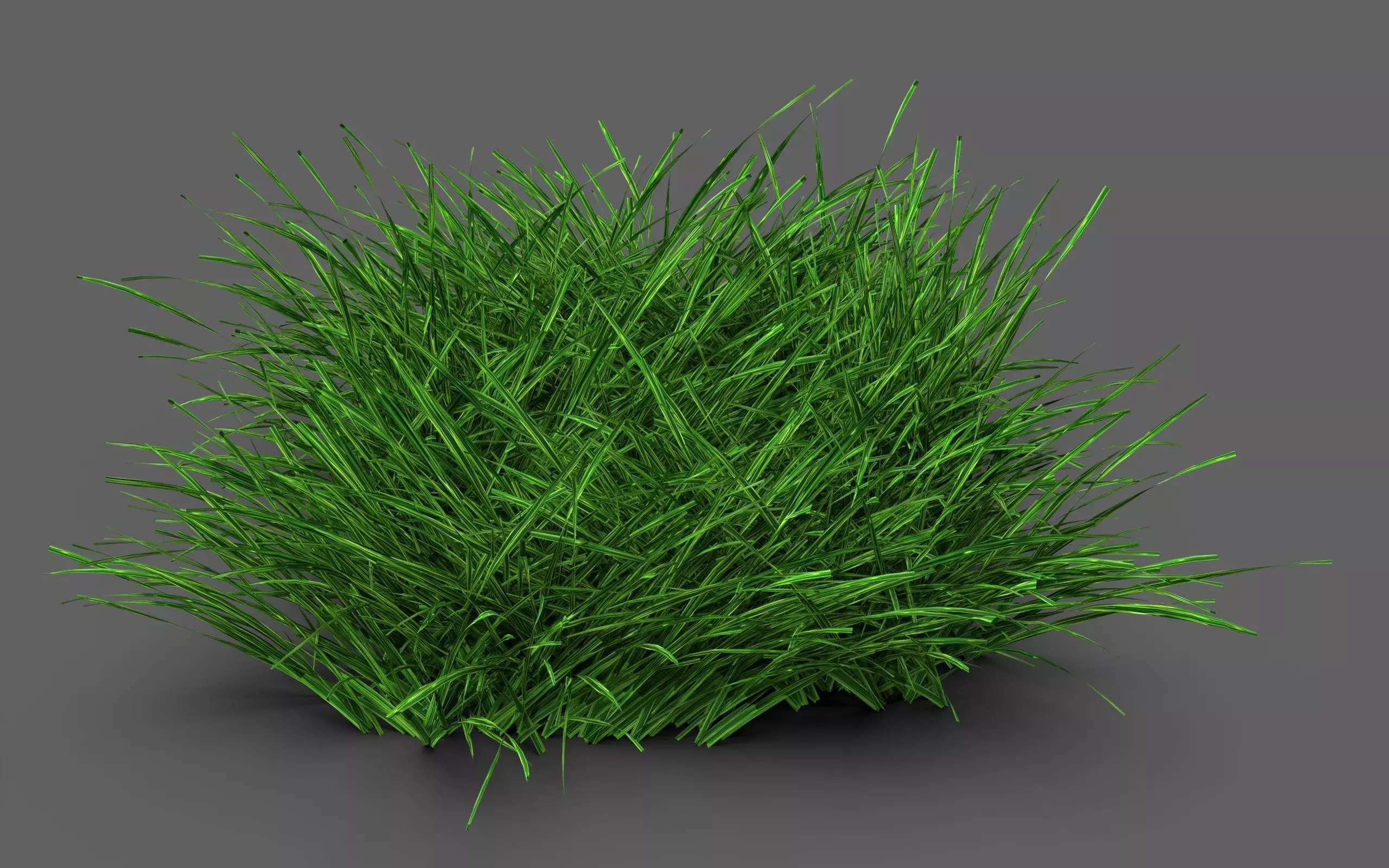 Grass Clump 3D model_2