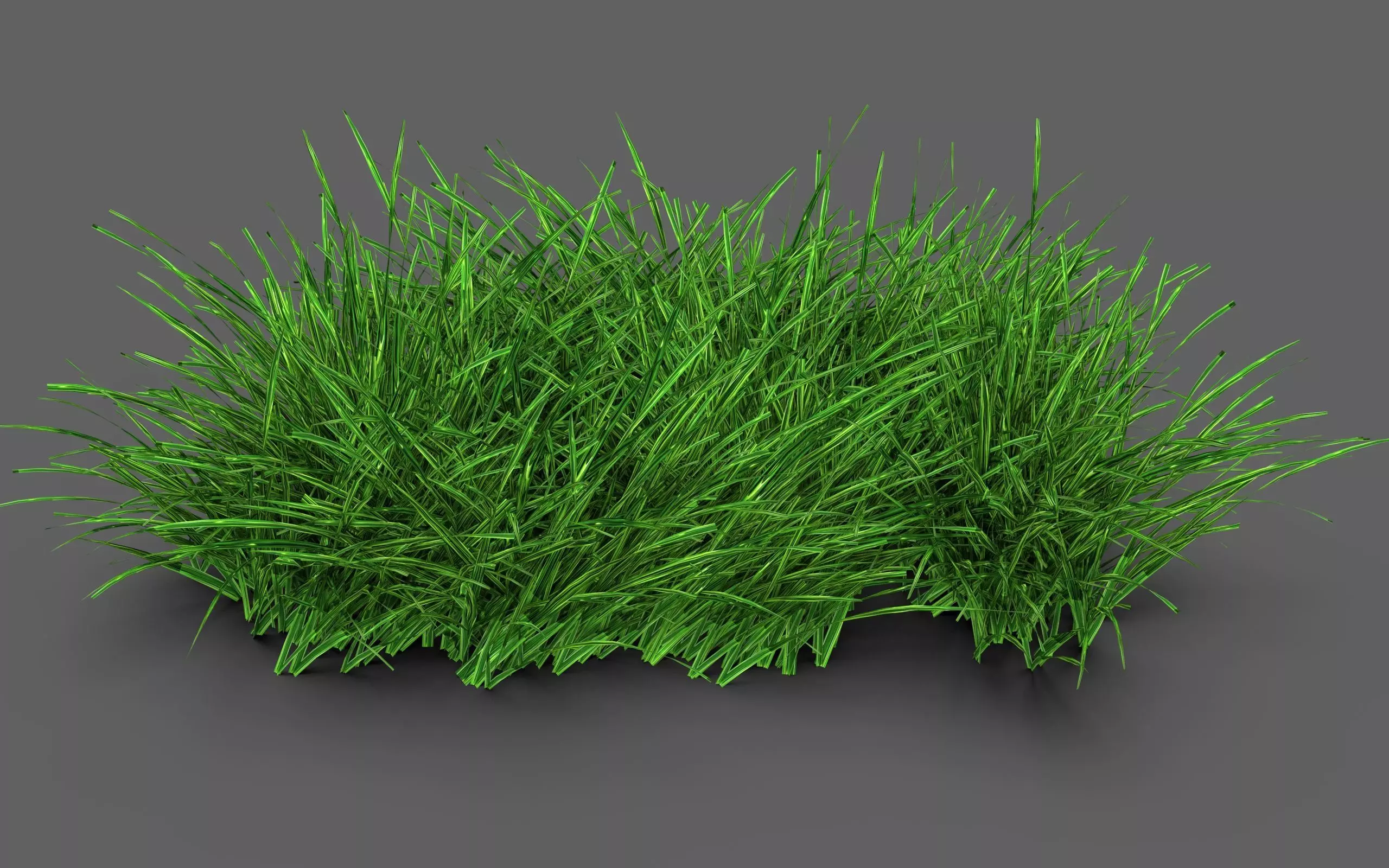 Grass Clump 3D model_0