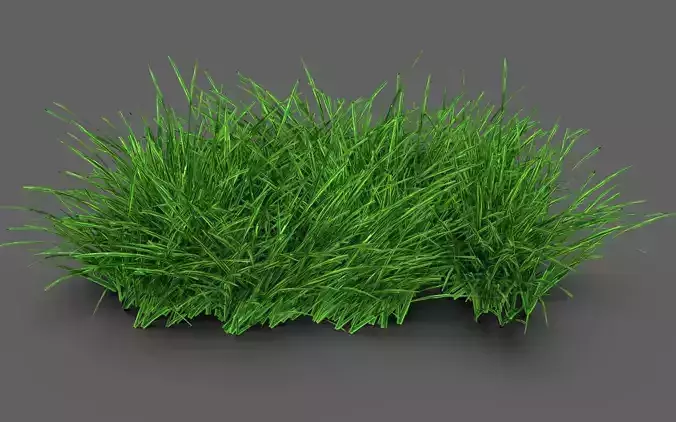 Grass Clump